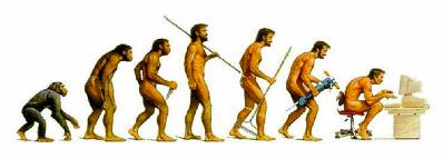 Apes To Humans Evolution